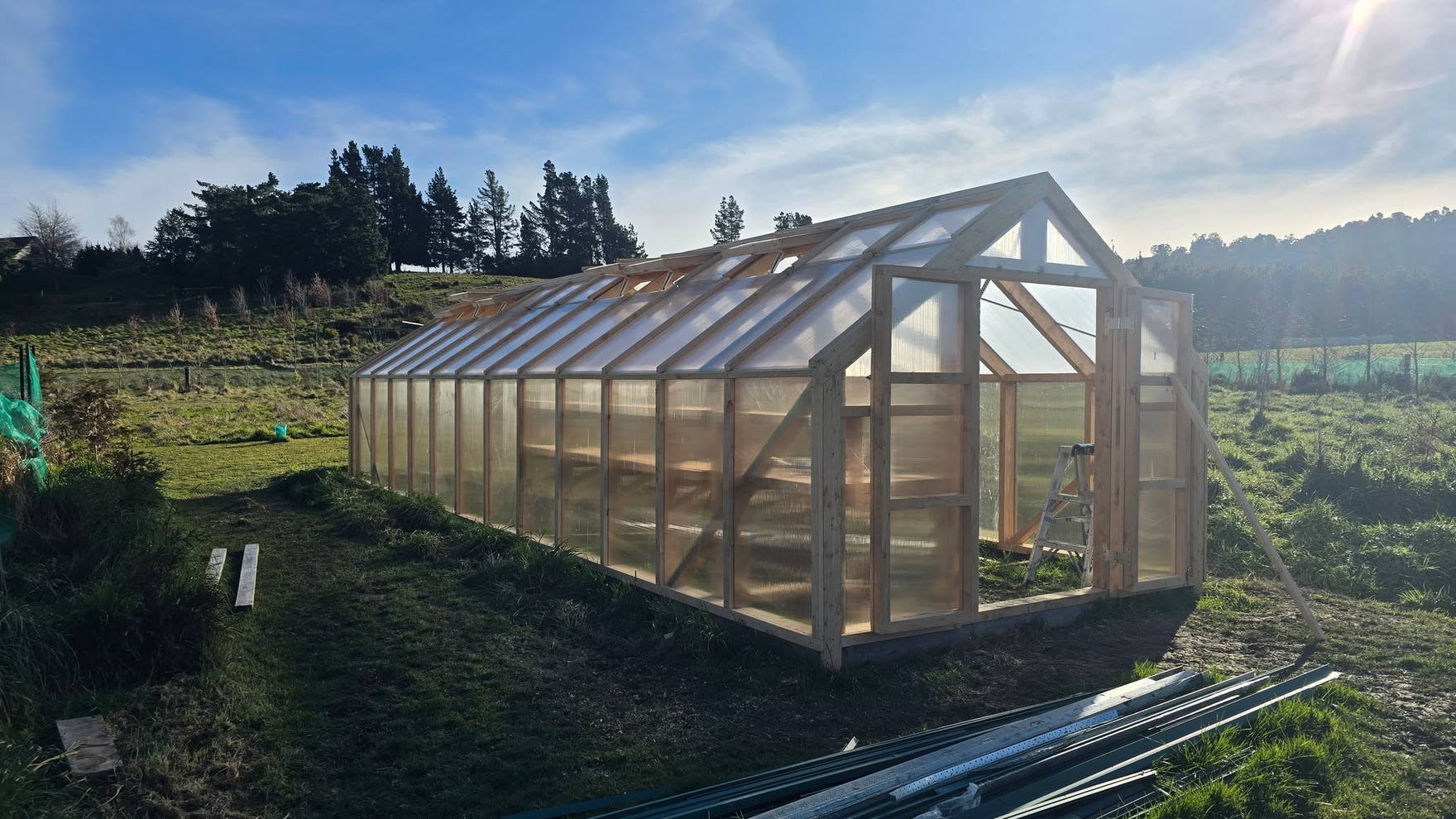 Sunlit timber greenhouse standing in a paddock
