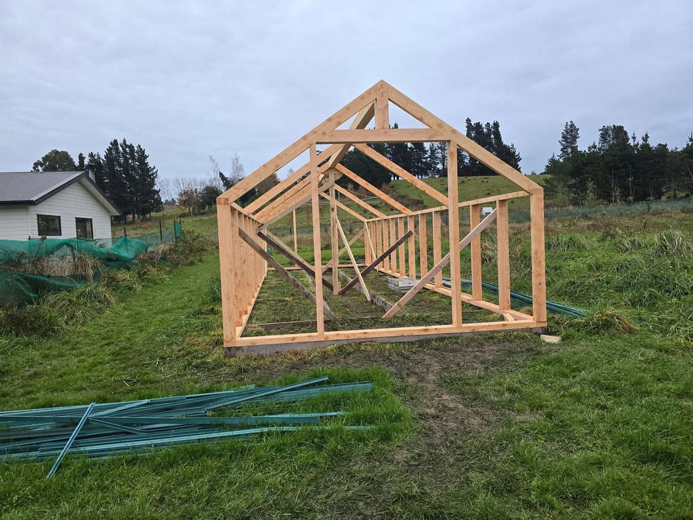 Timber framing of the greenhouse standing in the paddock before the polycarbonate went on
