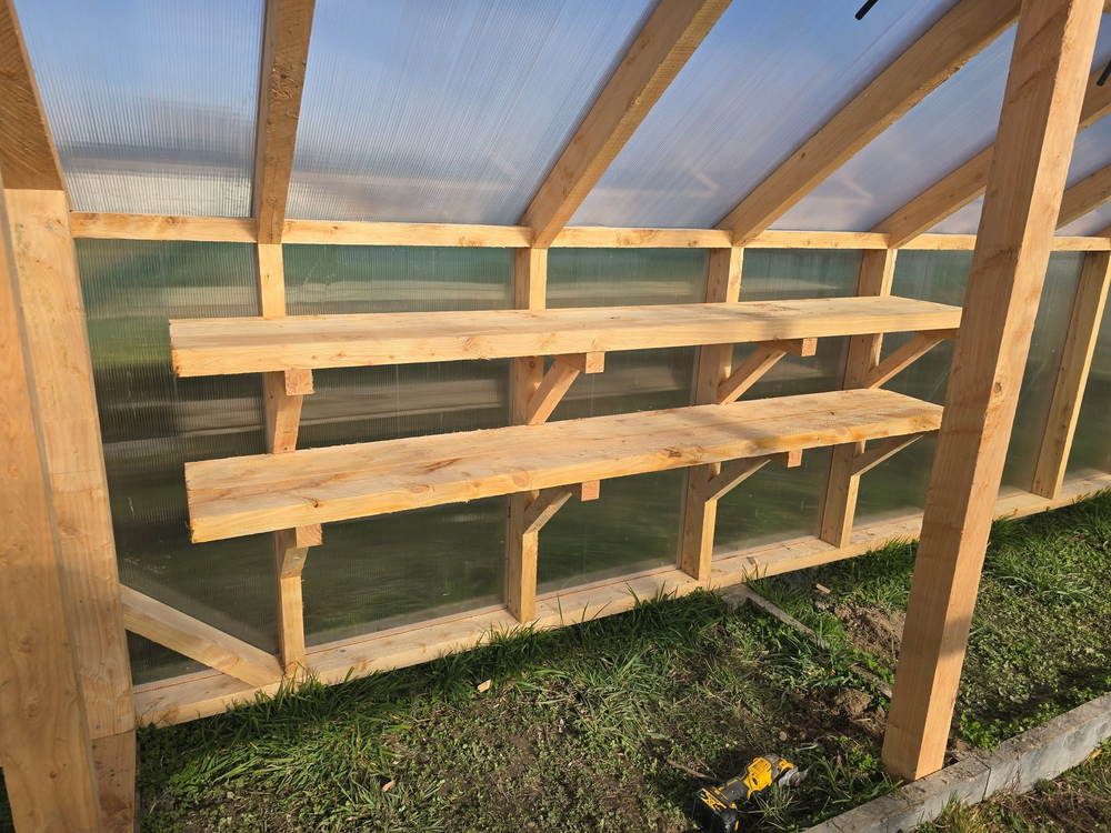 Two tiers of timber staging inside the greenhouse